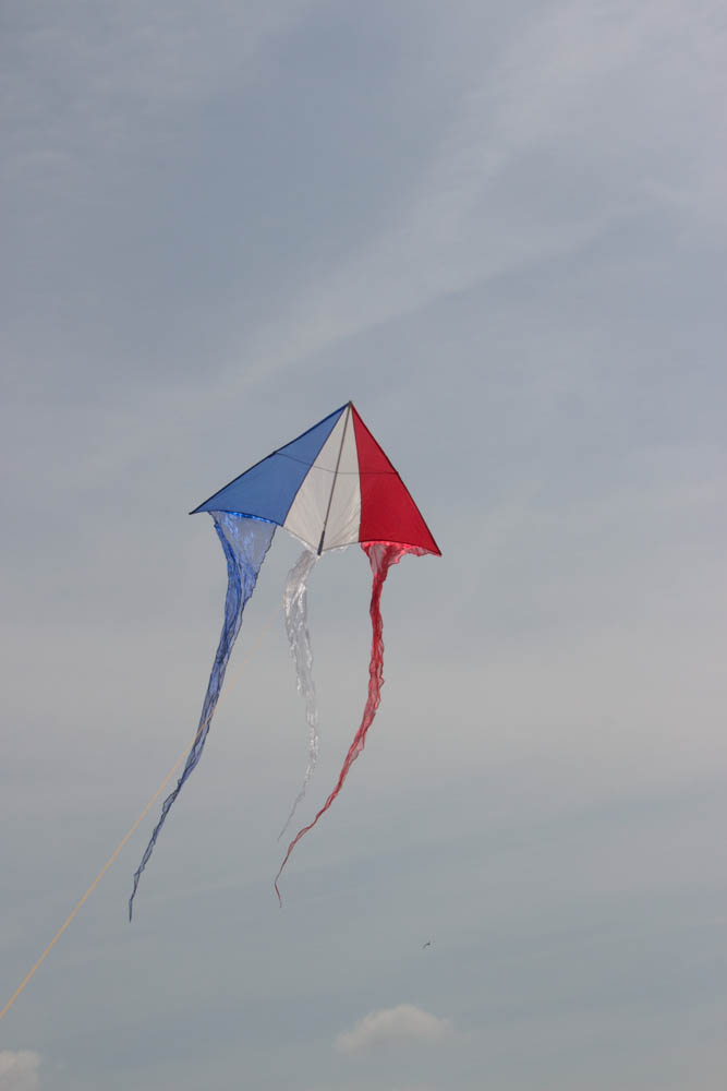 F-tail Delta,France,Mirai: Blue, White, Red; Organza: Blue, White, Red