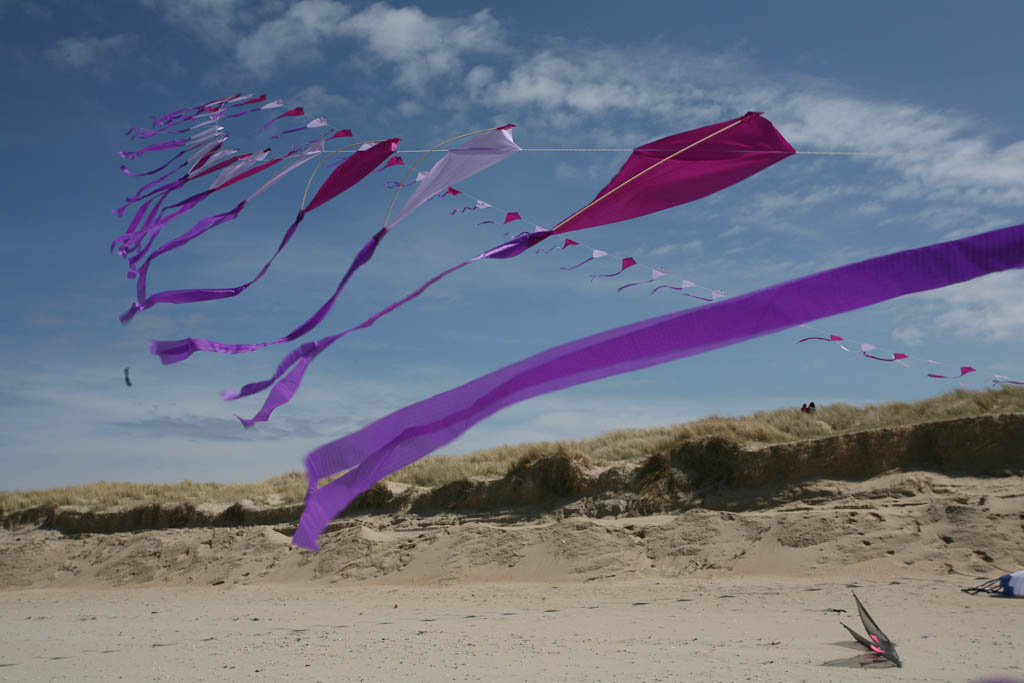 Kite Arc,Purple 1,Carrington: Shades of Purple