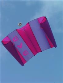 Double Parasled,330 EVe,Carrington: Fluor Pink, Purple en Dark Green