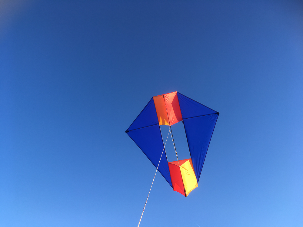 French Military Kite,Millie,Chikara: Blue, Red, Orange, Ocher