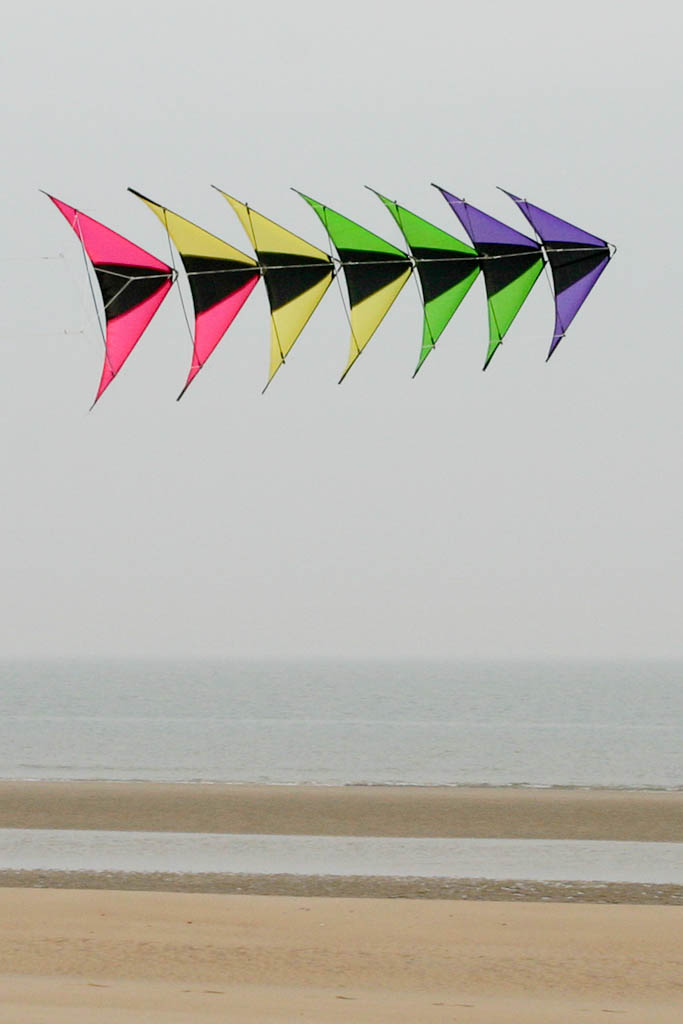 Speedwing,Proton-2 (Purple Green),Chikara: Black, Purple, Fluor Green