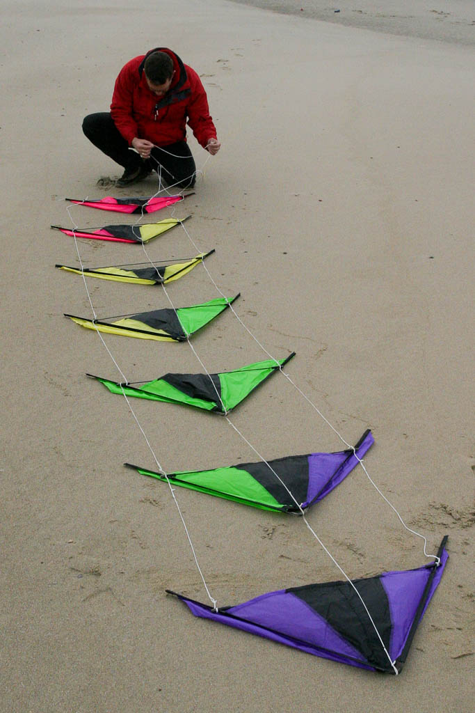 Speedwing,Proton-2 (Purple Green),Chikara: Black, Purple, Fluor Green