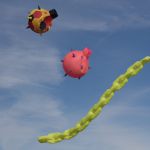 Svinø Strand Danmark 20-8-16