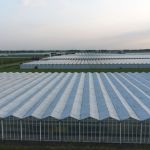 Huissen kassen 17-5-16