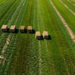 Svinø farmland Danmark 25-8-16